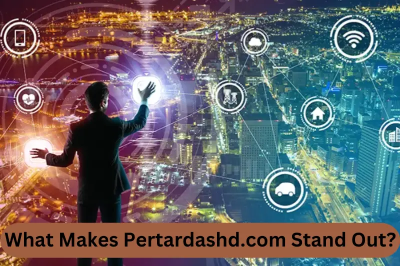 What Makes Pertardashd.com Stand Out