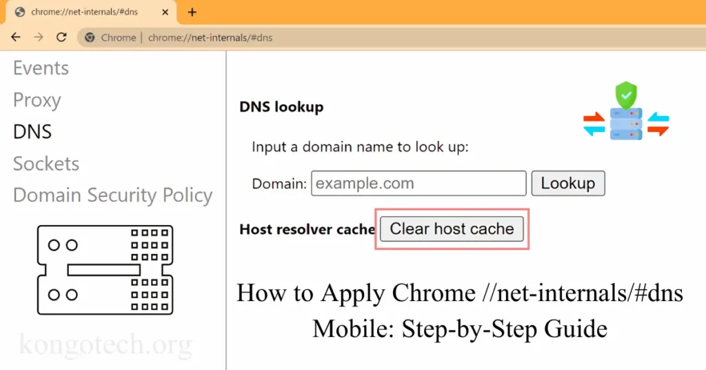 how to apply chrome net-internals#dns mobile step-by-step guide