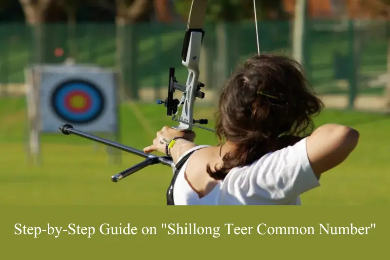 step-by-step guide on shillong teer common number