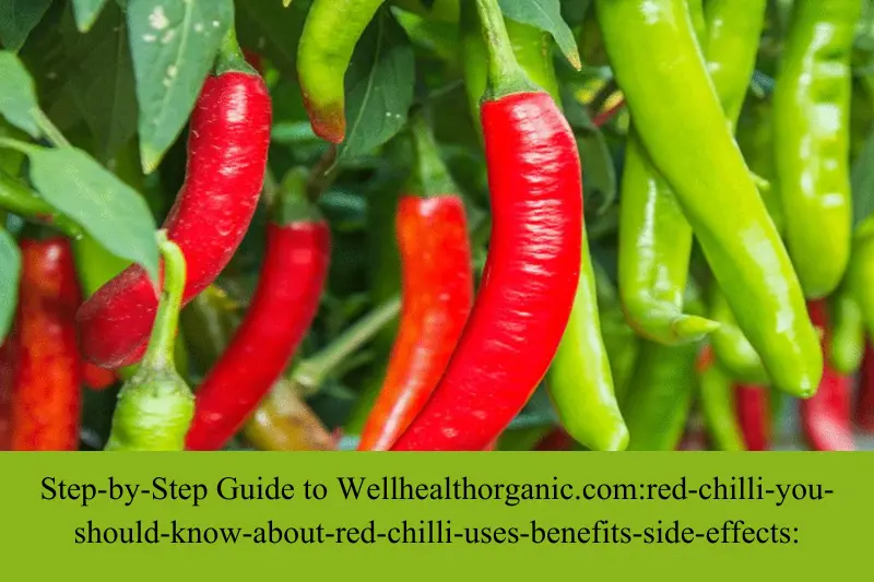 step-by-step guide to wellhealthorganic.com-red-chilli-you-should-know-about-red-chilli-uses-benefits-side-effects