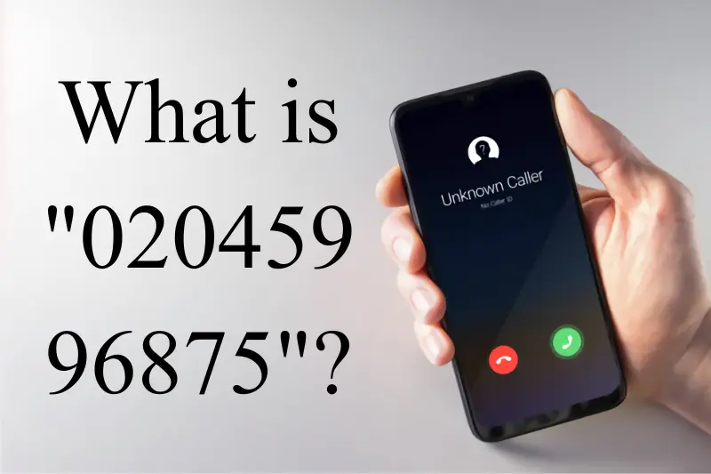 what is 02045996875