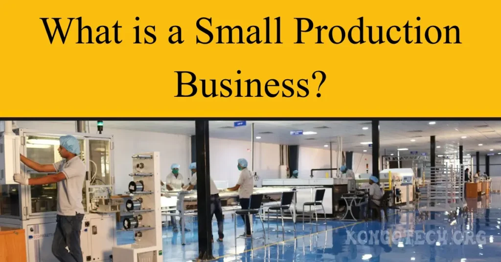 what is a small production business