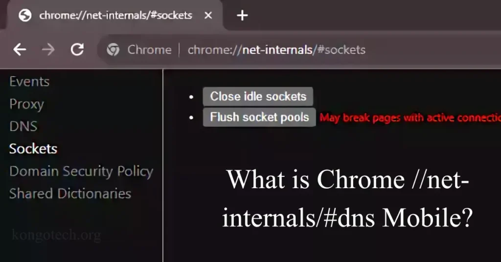 what is chrome net-internals#dns mobile