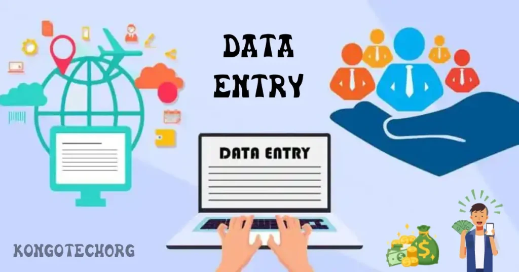 what is data entry