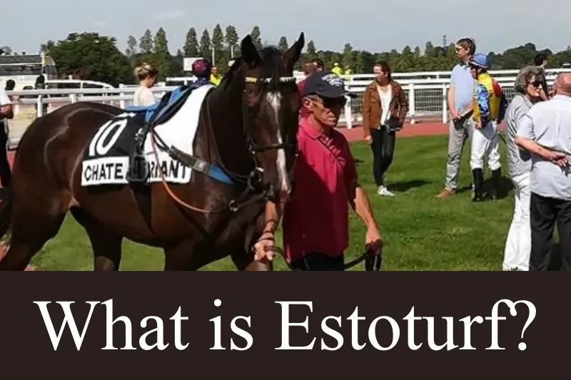 what is estoturf