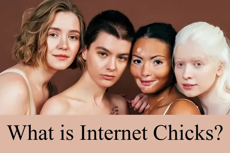 what is internet chicks