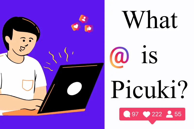 what is picuki