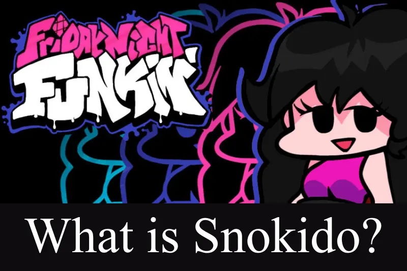 what is snokido