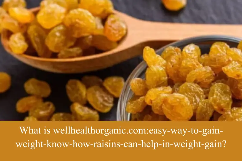 what is wellhealthorganic.com-easy-way-to-gain-weight-know-how-raisins-can-help-in-weight-gain
