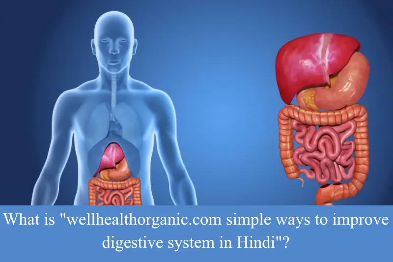 what is wellhealthorganic.com simple ways to improve digestive system in hindi