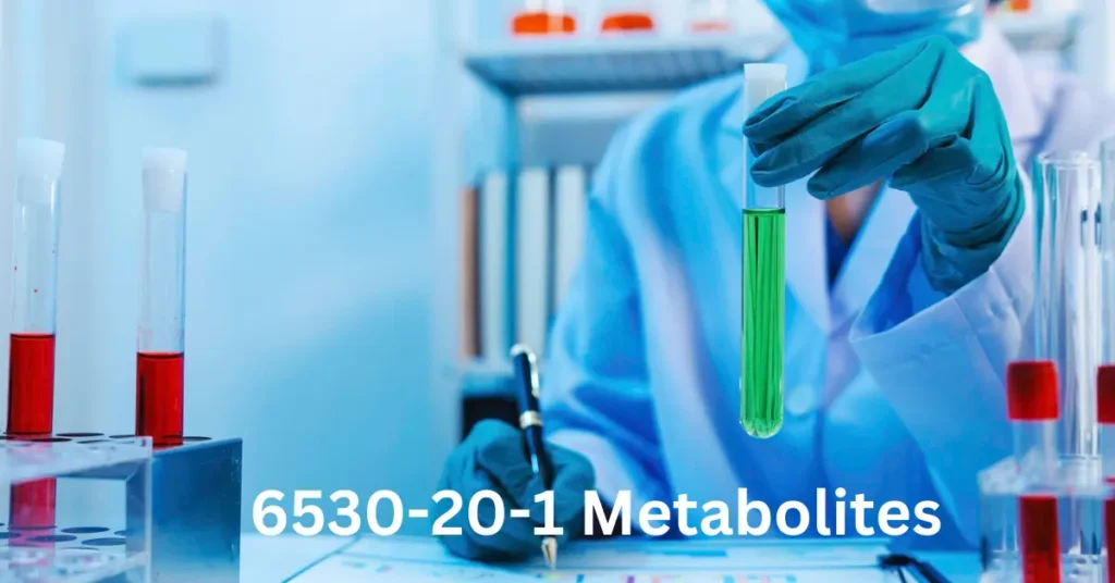 6530-20-1 Metabolites