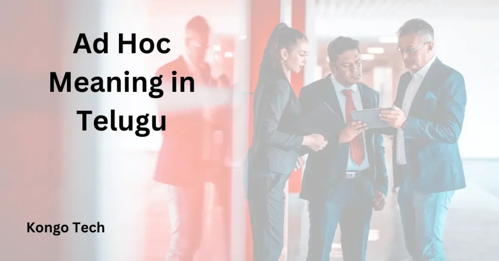 Ad Hoc Meaning in Telugu