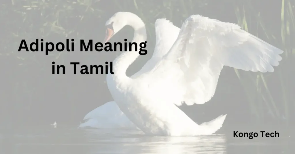 Adipoli Meaning in Tamil