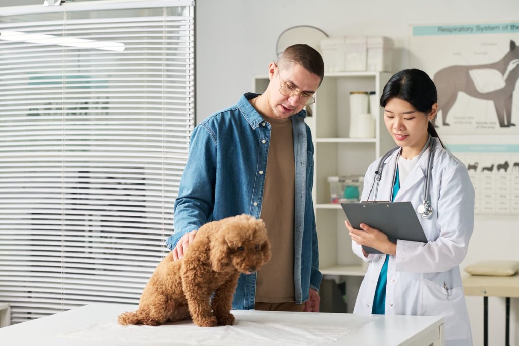 Streamlined Systems for Efficient Veterinary Practice Operations AdobeStock 1453750225