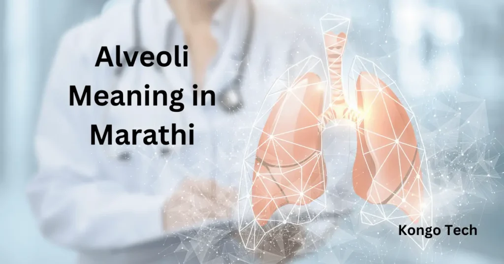 Alveoli Meaning in Marathi