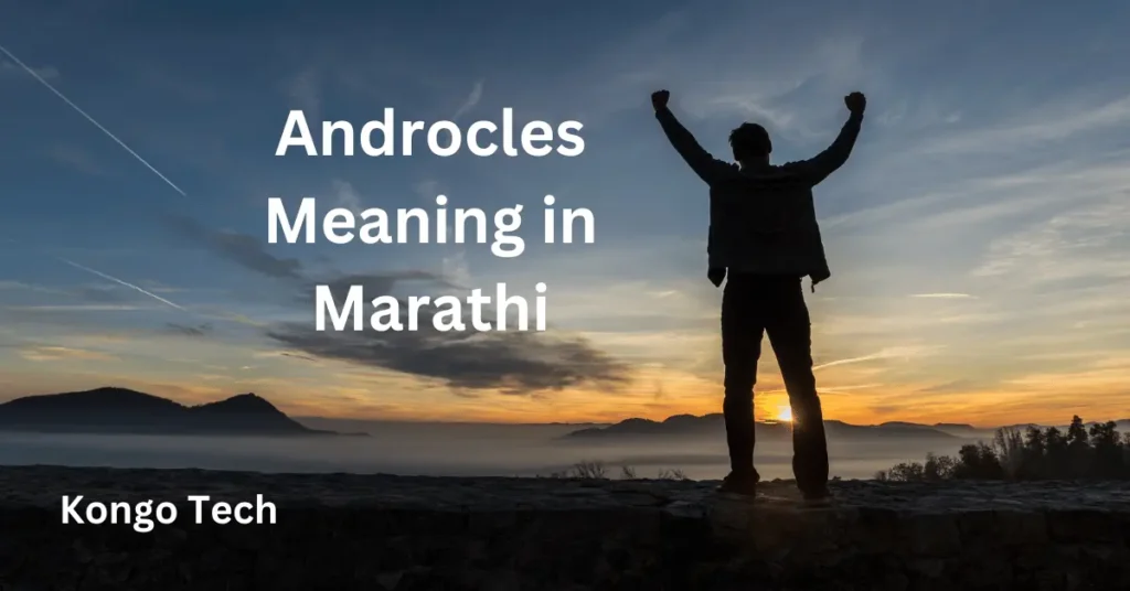 Androcles Meaning in Marathi