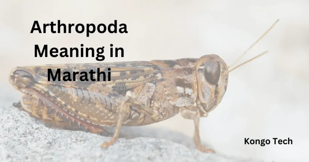 Arthropoda Meaning in Marathi