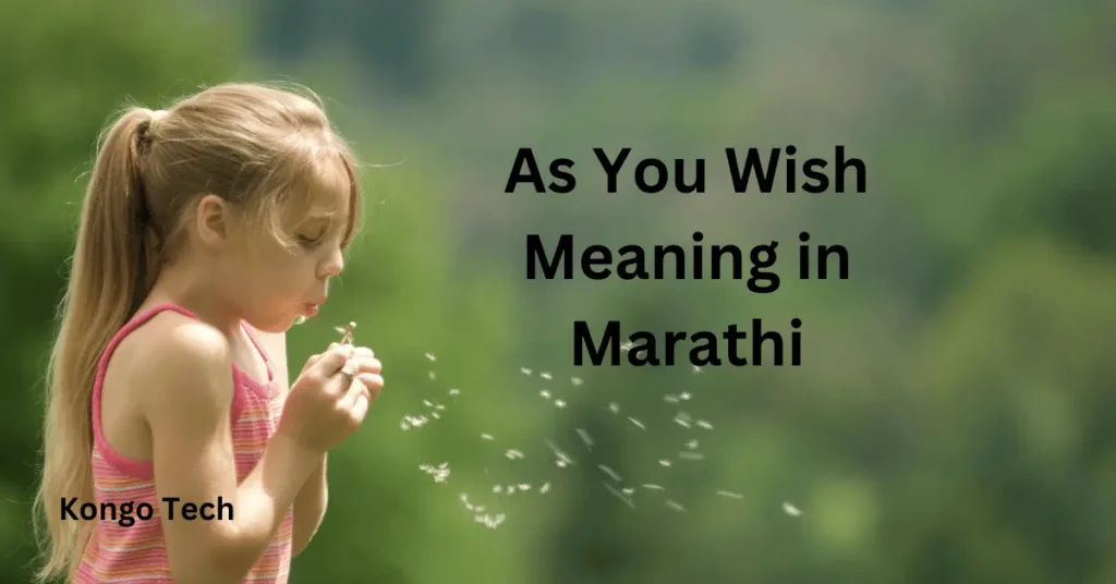 As You Wish Meaning in Marathi