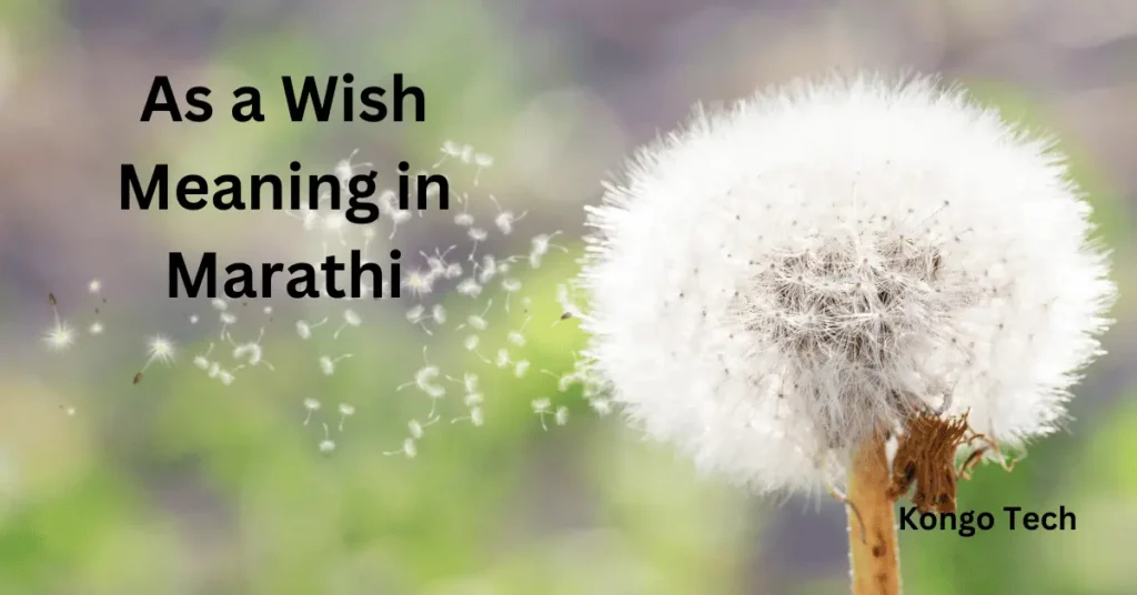 As a Wish Meaning in Marathi