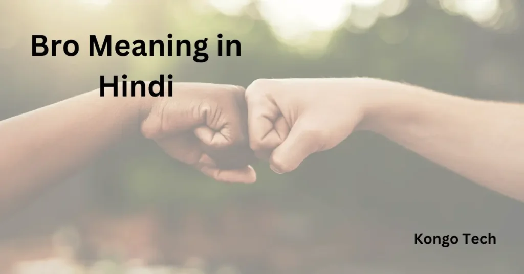 Bro Meaning in Hindi