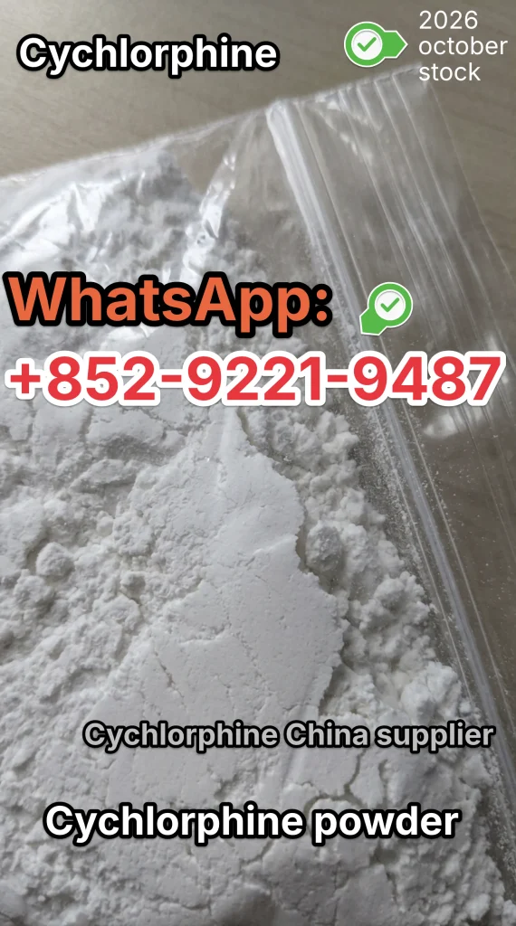 Cychlorphine: The 2026 Ultimate Guide for Buyers – Cychlorphine.org Cychlorphine The 2026 Ultimate Guide for Buyers