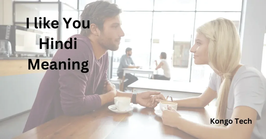 I Like You Hindi Meaning