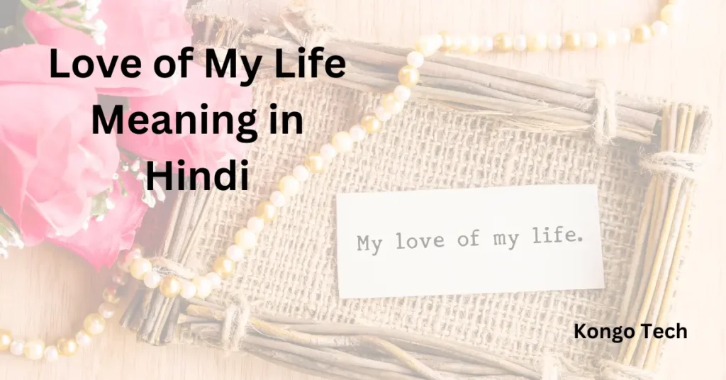 Love of My Life Meaning in Hindi – Kongo Tech Love of My Life Meaning in Hindi