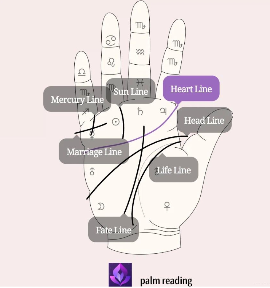 How Ancient Palm Reading and Modern Intuition Tools Like Ceerly Are Helping People Find Clarity Thebaddieshub.com