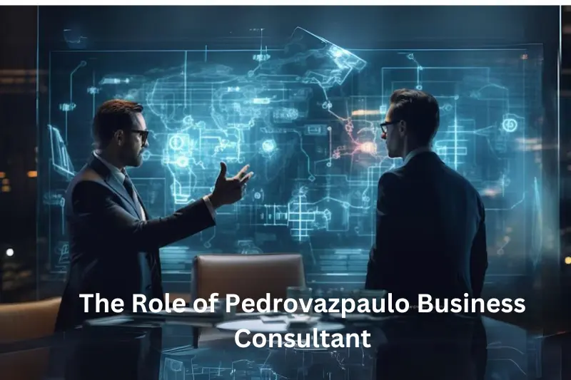 The Role of Pedrovazpaulo Business Consultant