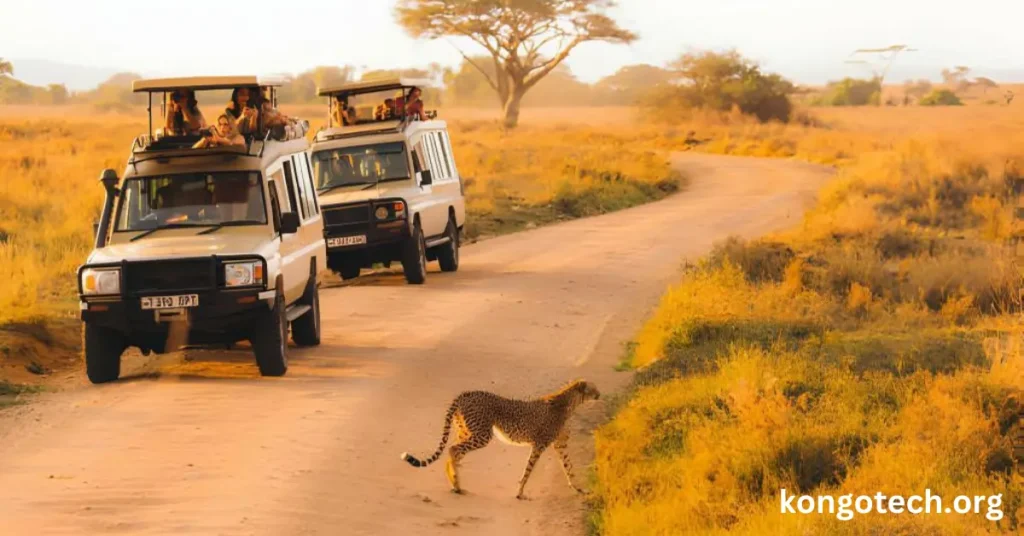 Traverse the Terrain: Arizona Safari Jeep Tours for Nature Enthusiasts Traverse the Terrain Arizona Safari Jeep Tours for Nature Enthusiasts