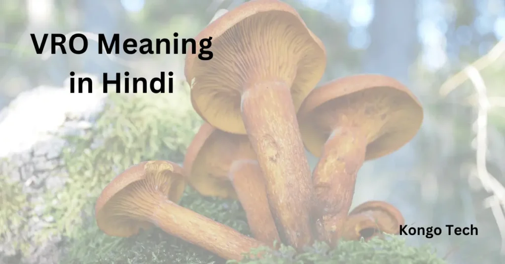 VRO Meaning in Hindi