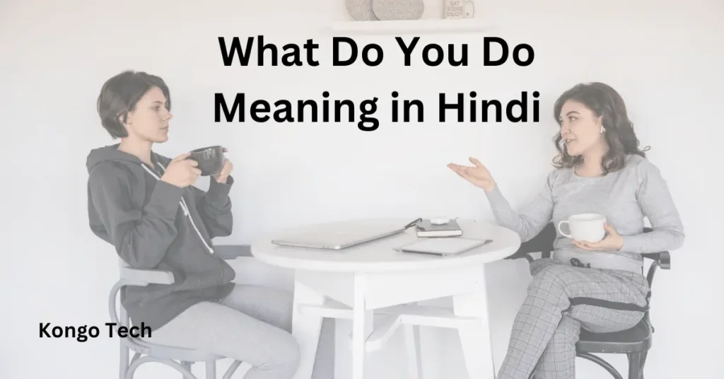 What Do You Do Meaning in Hindi