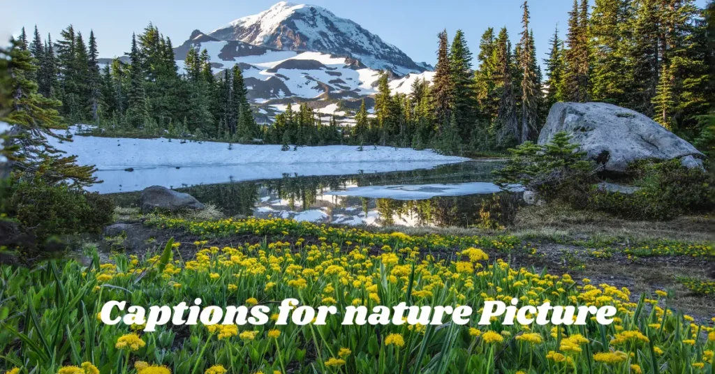 captions for nature picture