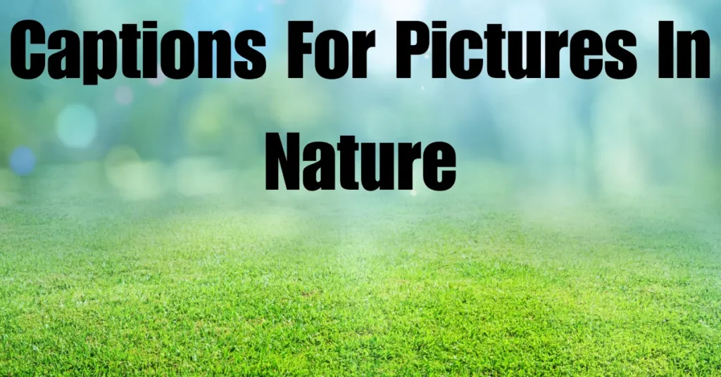 🌿 110+ Captions for Pictures in Nature: Perfect Lines for Your Outdoor Moments captions for pictures in nature