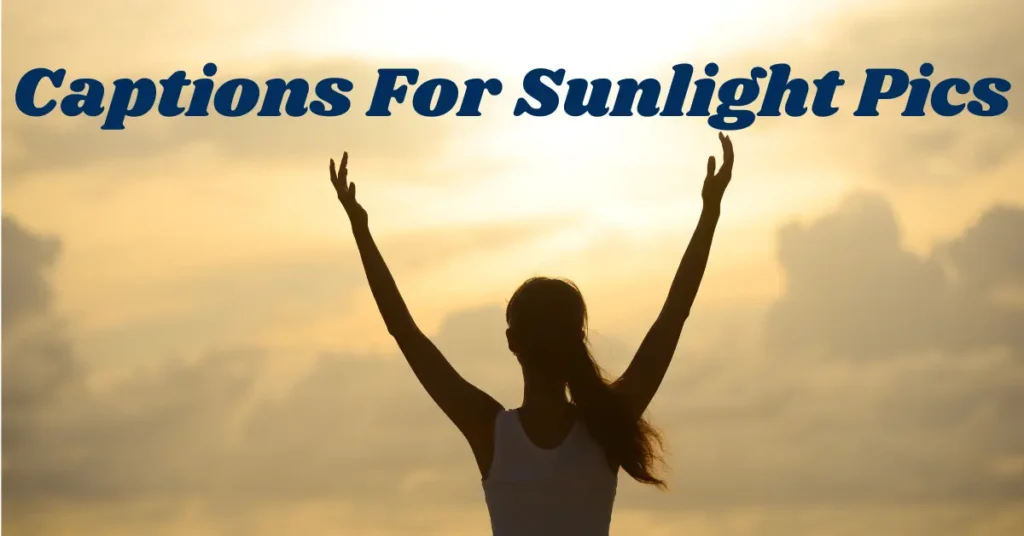 110+ Captions for Sunlight Pics to Brighten Your Instagram captions for sunlight pics