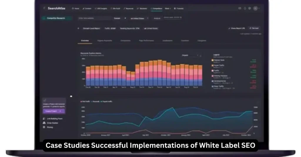 Case Studies Successful Implementations of White Label SEO