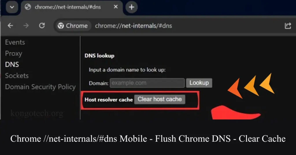 Chrome //net-internals/#dns Mobile – Flush Chrome DNS – Clear Cache chrome net-internals#dns mobile