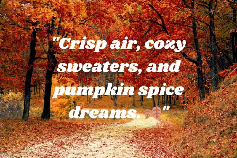 crisp air, cozy sweaters, and pumpkin spice dreams