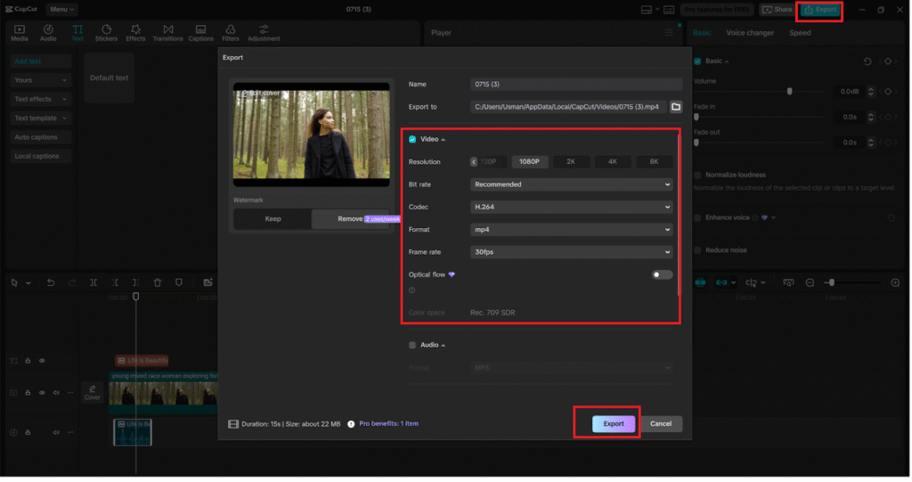Export the Final Video