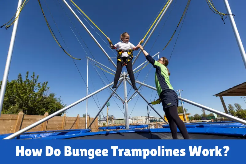 how do b bungee trampolines work