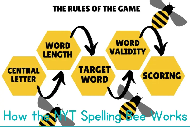 how the nyt spelling bee works