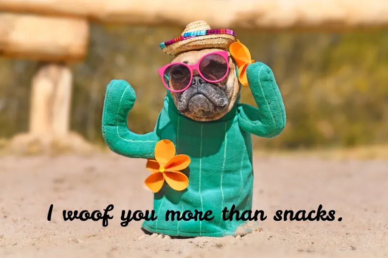 i woof you more than snacks