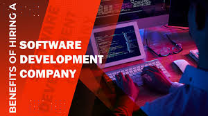 Why You Should Hire Software Development Company for Your Needs image 1016