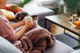 Keeping Your Home Warm and Efficient: A Homeowner’s Guide to Heating System Care image 2371