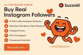 5 Best Sites to Buy Instagram Followers in 2026: A More Careful Look at What Still Feels Credible image 2462