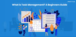 Taskraise com: A Complete Beginner-Friendly Guide to Smarter Online Task Management image 2590