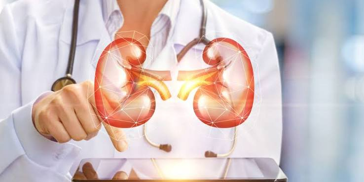 Looking for the Best Urologist in Dubai? What to Expect and How to Choose image 3563