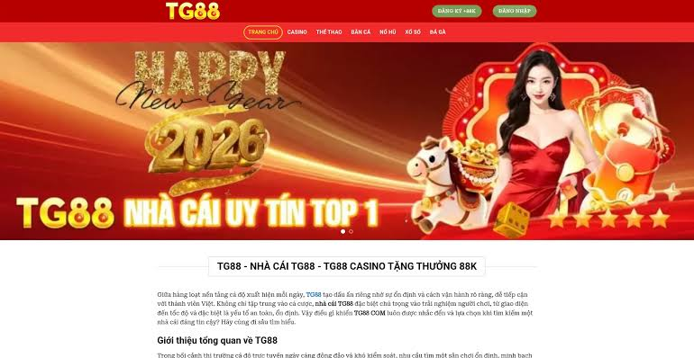 TG88 com Review: Features, Benefits, and User Experience image 3860
