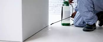How a Trusted Pest Control Company in Torrance, California Helps Protect Homes and Businesses image 3908