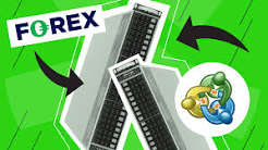 MetaTrader VPS: The Complete Guide for Forex Traders image 4247